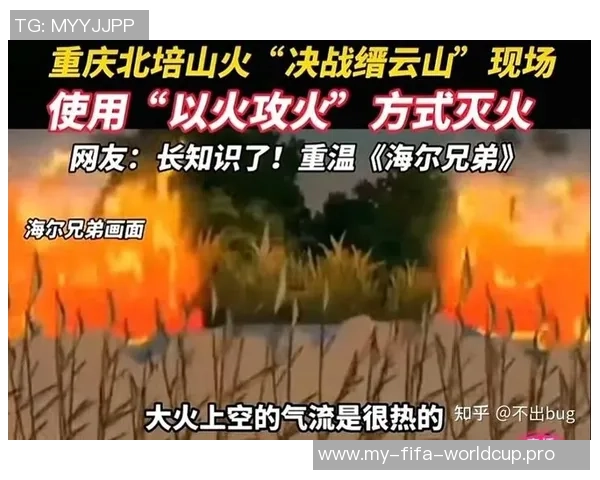 重庆排球队包夹战术创新探索与实践分析 重庆排球队包夹战术创新探索与实践分析